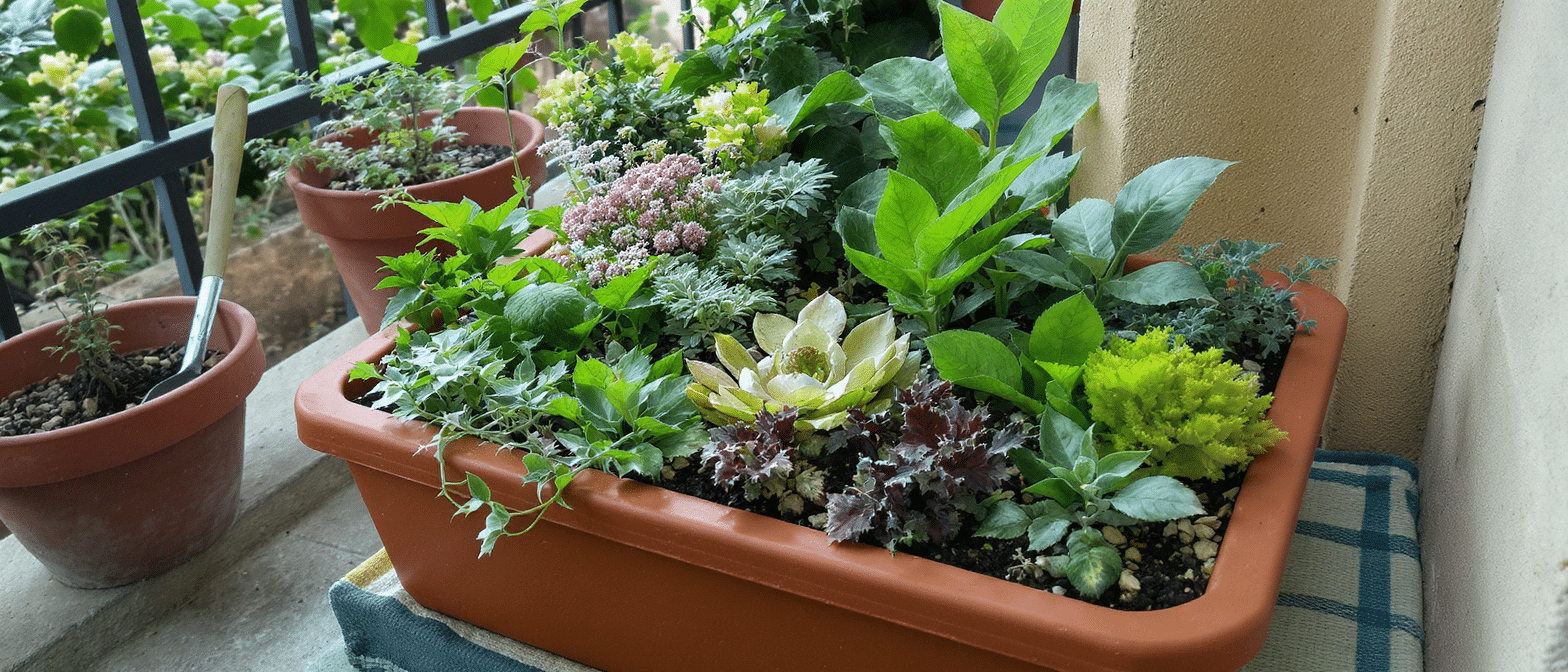 explorez le jardin bento et découvrez comment transformer votre balcon en un espace vert unique, harmonieux et inspirant grâce à cette approche innovante du jardinage urbain.