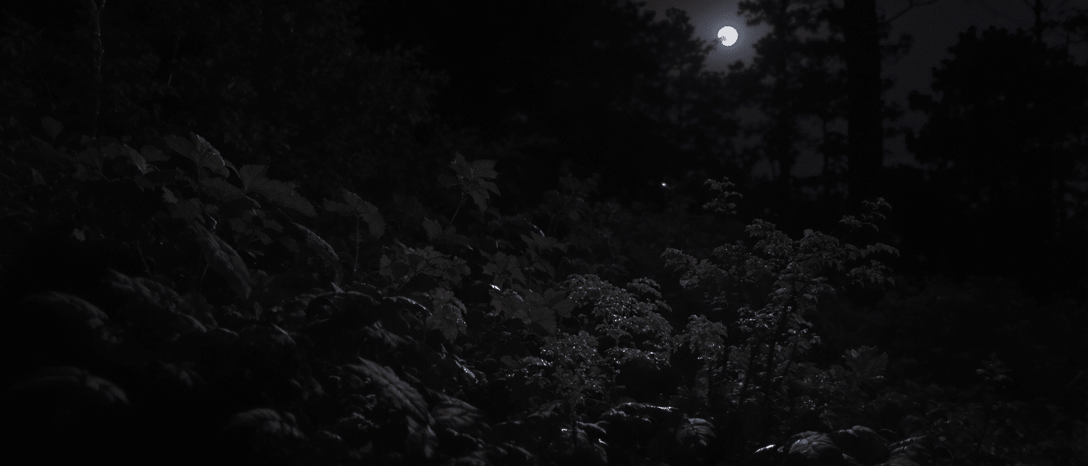 d&eacute;couvrez pourquoi certaines plantes redoutent la pleine lune et les r&eacute;v&eacute;lations surprenantes sur leur comportement naturel face &agrave; cet astre lumineux.
