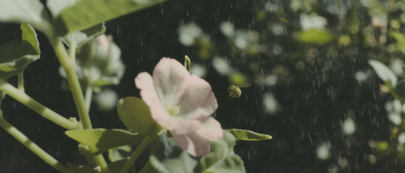 Un frisson mystérieux parcourt certaines fleurs à l’approche d’une abeille : un phénomène botanique qui intrigue les chercheurs
