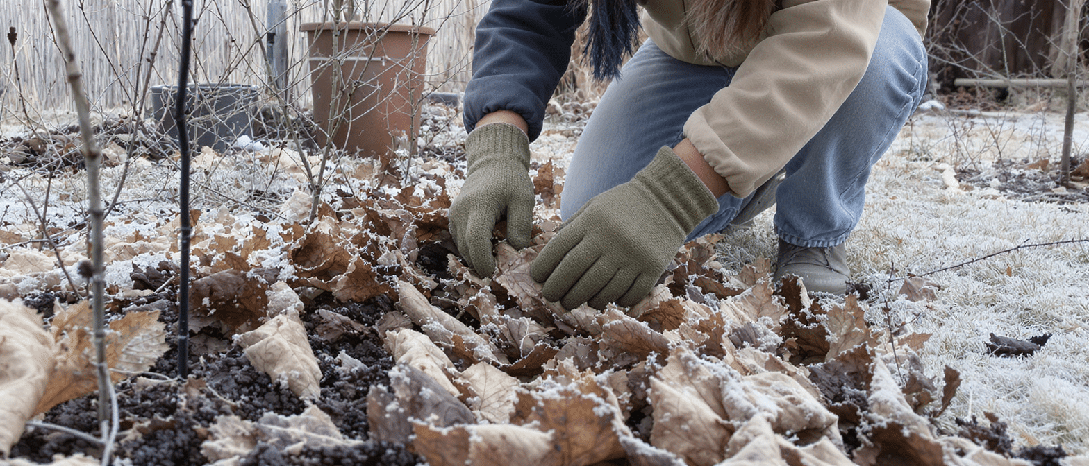 d&eacute;couvrez le geste incontournable recommand&eacute; par les experts pour pr&eacute;parer votre jardin &agrave; affronter l'hiver avec succ&egrave;s et garder un espace vert magnifique malgr&eacute; le froid.