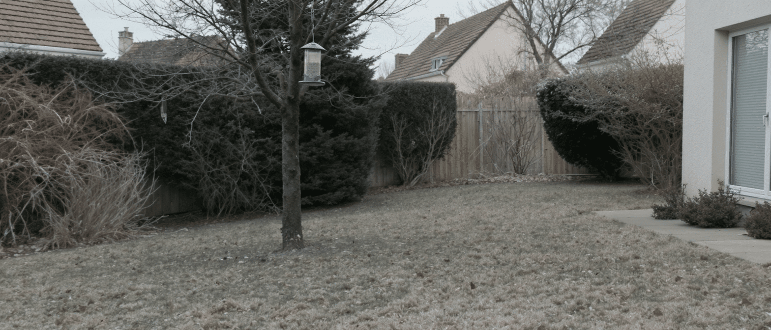 d&eacute;couvrez pourquoi vos mangeoires &agrave; oiseaux restent vides et apprenez le secret pour choisir l'emplacement id&eacute;al afin d'attirer plus d'oiseaux dans votre jardin.