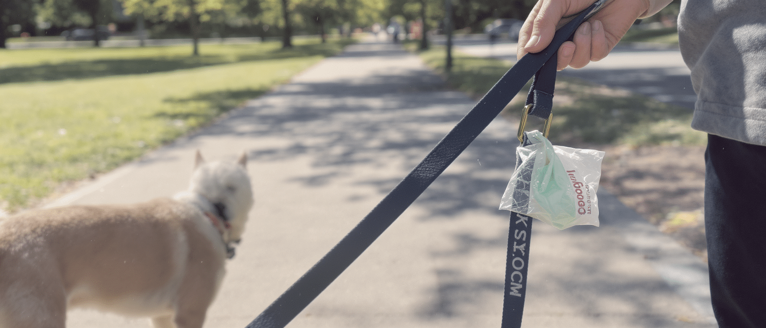 d&eacute;couvrez l'accessoire pour chien indispensable pr&eacute;sent&eacute; dans la s&eacute;lection action du 6 mai, la solution parfaite pour r&eacute;soudre les soucis courants des ma&icirc;tres avec leurs compagnons &agrave; quatre pattes.