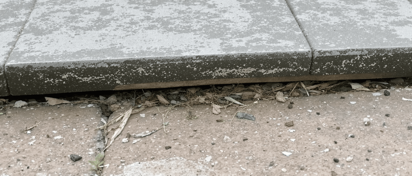 d&eacute;couvrez la v&eacute;rit&eacute; cach&eacute;e sous les dalles de votre terrasse apr&egrave;s quelques ann&eacute;es : un choc surprenant vous attend en les soulevant. ne manquez pas cette r&eacute;v&eacute;lation essentielle pour l'entretien de votre espace ext&eacute;rieur !